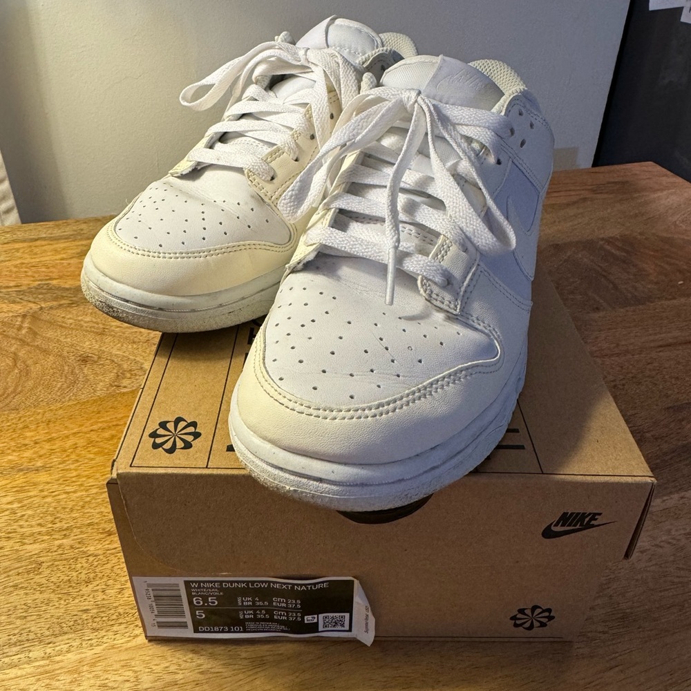 W Nike Dunk Low Next Nature